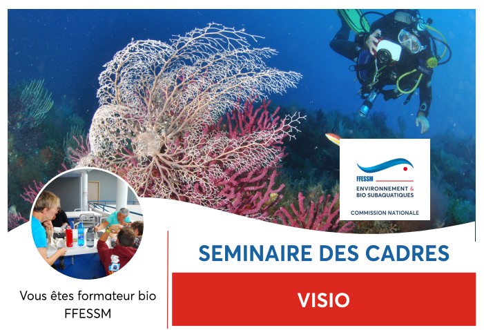 Séminaire des cadres 12 avril 2025 (replays disponibles)