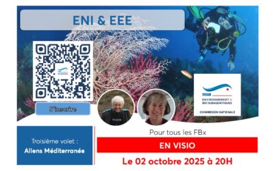 Réunions des réseaux ALIENS 2025 programme (et replays disponibles)
