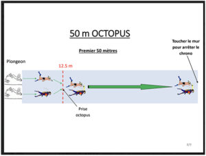 OCTOPUS MIXTE